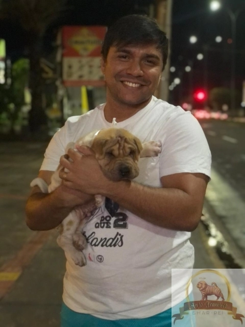 Clientes Felizes