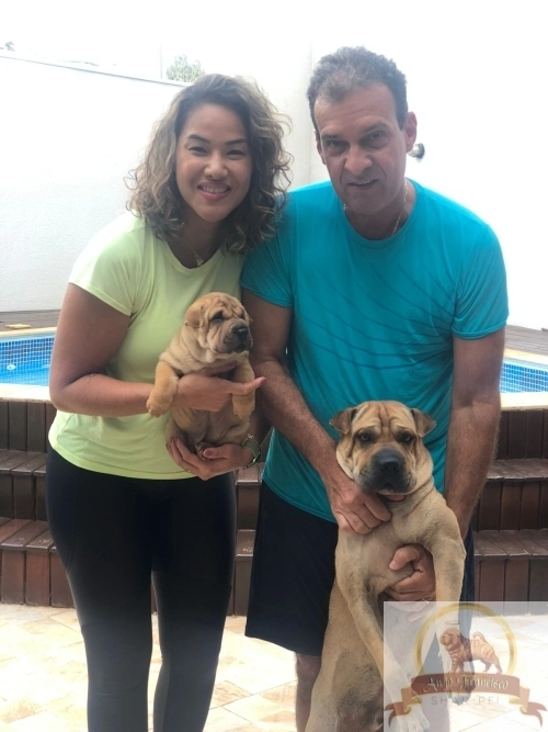Clientes Felizes