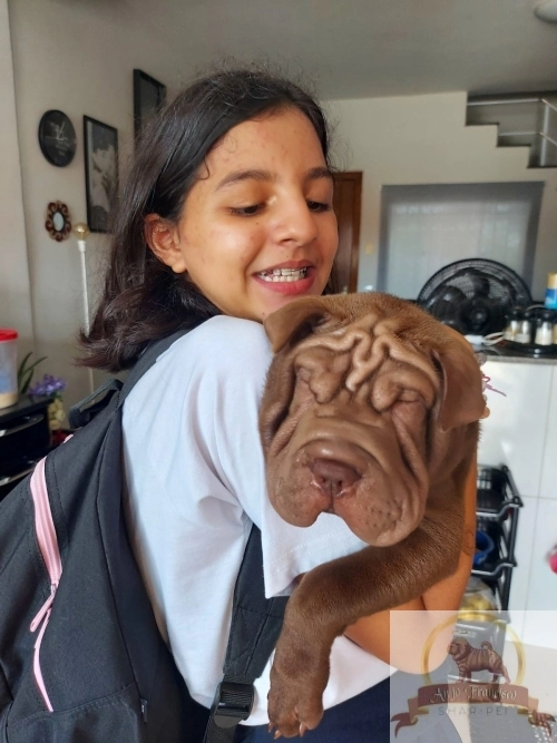 Clientes Felizes