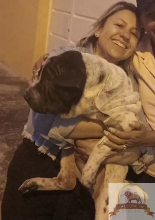 Clientes Felizes
