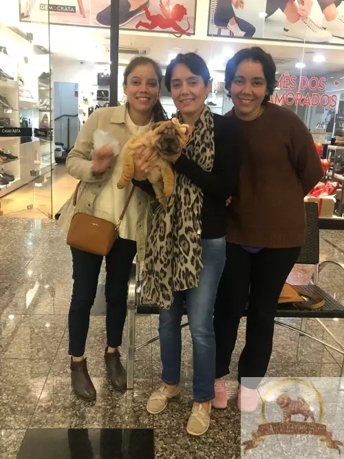 Clientes Felizes