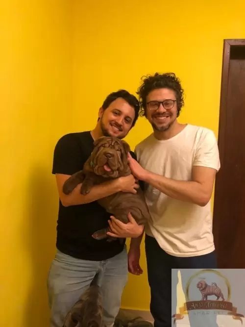 Clientes Felizes