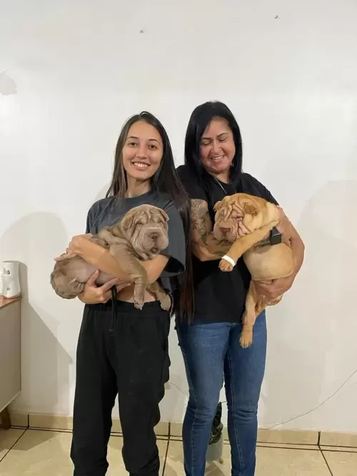 Clientes Felizes