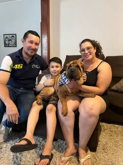 Clientes Felizes