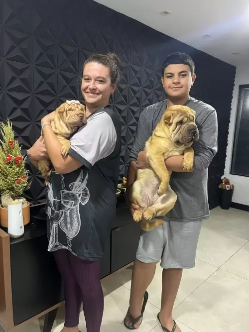 Clientes Felizes
