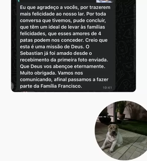 feedback 