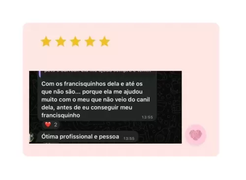 feedback 