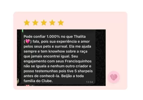 feedback 