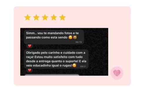 feedback 