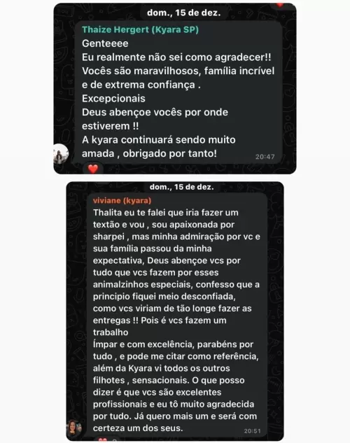 feedback 
